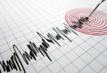 Powerful Earthquake Hits Oregon Coast: What's the Impact and Precautions?