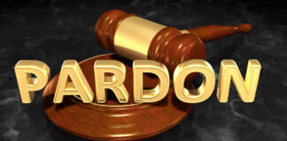 Review of: Trump Considers Pardoning Hunter Biden Amid Political Strategy and Complex U.S. Dynamics