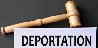 Tom Homan's Controversial Strategy to Address Illegal Immigration Challenges