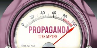 Secret Discord Allegations Shake Kamala Harris Campaign's Social Media Strategy