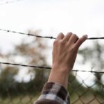 Delving into Tom Homan's Controversial Immigration Views and Political Responses
