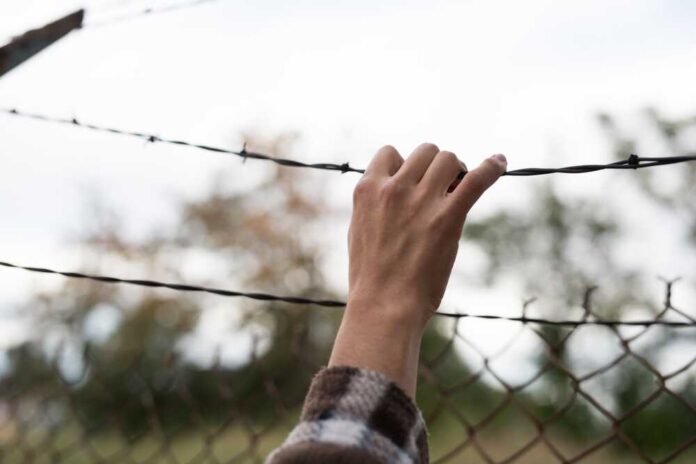 2505493199 featured image Delving into Tom Homan's Controversial Immigration Views and Political Responses