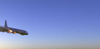 Unraveling the Mystery Behind Kamaka Air Flight 689's Honolulu Incident