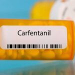 CDC Issues Urgent Alert on Carfentanil's Increasing Overdose Threat