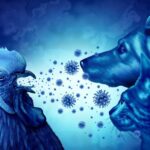 How Can Pet Owners Shield Their Animals from Bird Flu Risks? How Can Pet Owners Shield Their Animals from Bird Flu Risks?