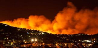 Arson Suspect Detained as Los Angeles Wildfires Force Evacuations