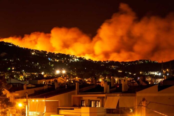 Arson Suspect Detained as Los Angeles Wildfires Force Evacuations