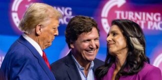 Tulsi Gabbard's Intelligence Role Stalls: Senate Ethical Concerns Arise