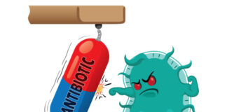 Hidden Hospital Menace: Can We Combat Drug-Resistant Candida auris?