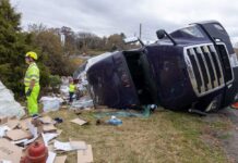Fatal Truck Collision Probe: Language Challenges and Licensing Under Review