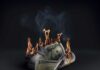 Musk's Surprising Moves to Revolutionize Government Efficiency and What's Next