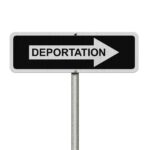 Political Tensions Rise: Trump's Surprising Deportation Threat to Elon Musk