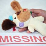 Massive Resource Strain: Can Police Handle 533K Missing? A hand holding a stuffed dog toy next to a 'MISSING' notice