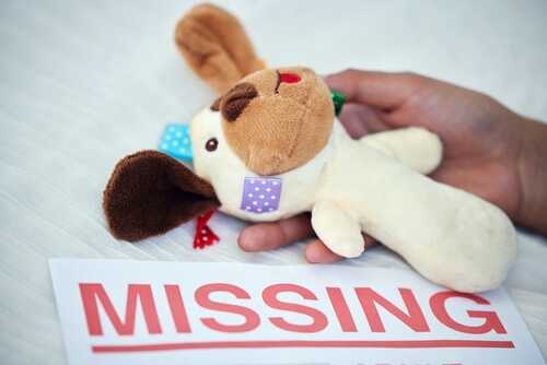 A hand holding a stuffed dog toy next to a 'MISSING' notice