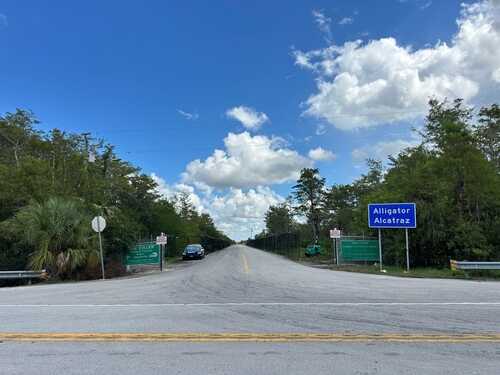 shutterstock_2664657857.jpg Road leading to Alligator Alcatraz with signs and greenery