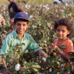 Two children smiling while picking cotton in a field