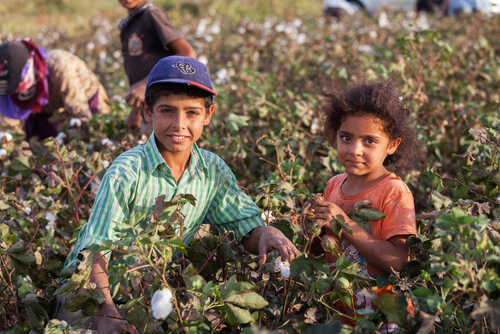 Two children smiling while picking cotton in a field