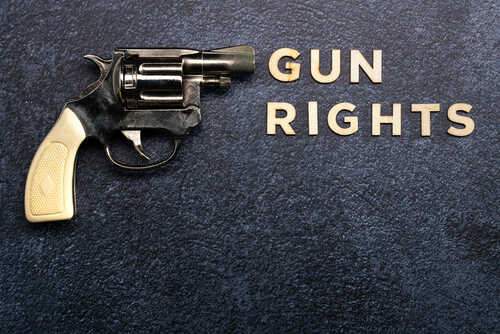 A revolver next to the words 'GUN RIGHTS' on a textured background