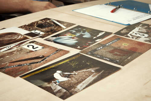 Collection of photographs laid out on a table for analysis