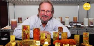 Ex treasure hunter marks fifth year in jail over missing gold coins