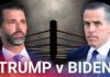Hunter Biden CHALLENGES Trump to FIGHT? Hunter Biden challenges Trump's sons to cage match fight