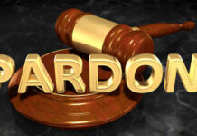 A wooden gavel resting on a circular base with the word 'PARDON' in gold letters