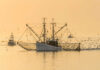 Fishing boats at sea with flock of birds