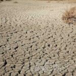 A dry, cracked earth surface with sparse vegetation