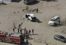 Warrant Run Turns Into War Zone Detective shot while conducting investigation in Palmdale