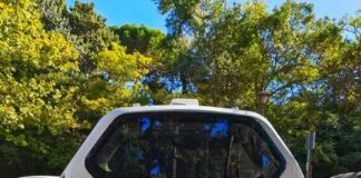 An autonomous shuttle vehicle parked on a city street surrounded by trees
